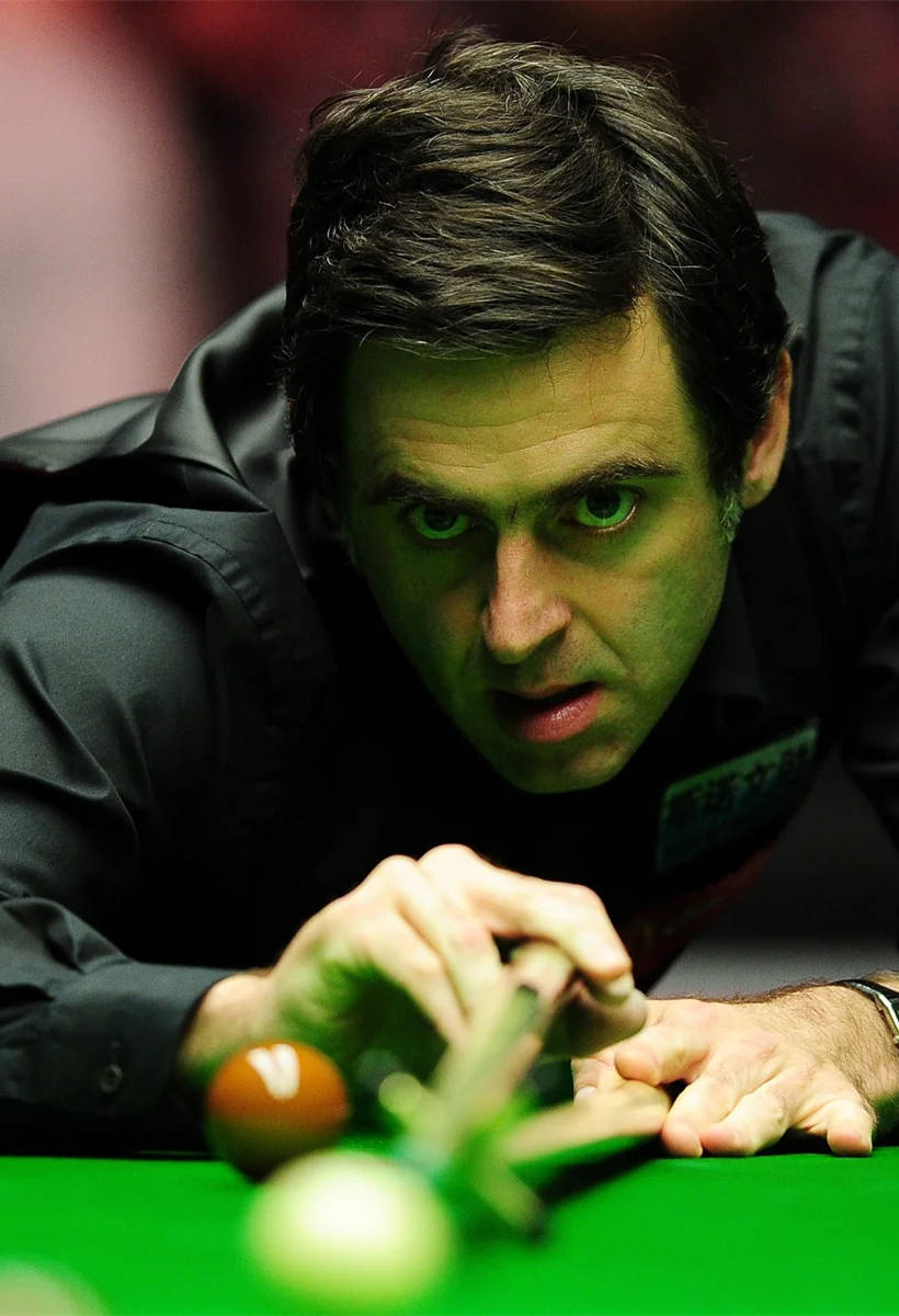 多个奖项 多个奖项