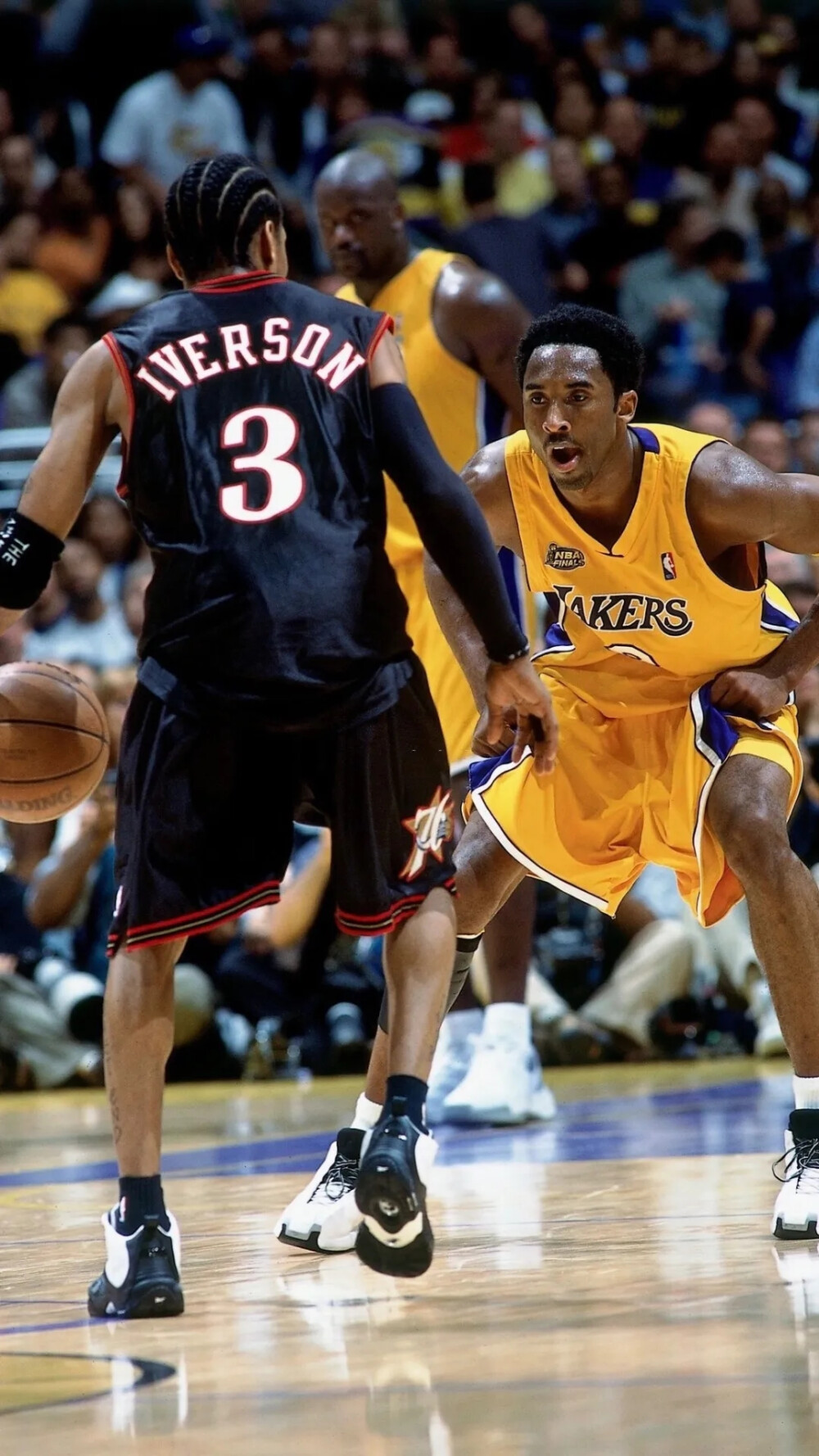 的肋部空当 的肋部空当